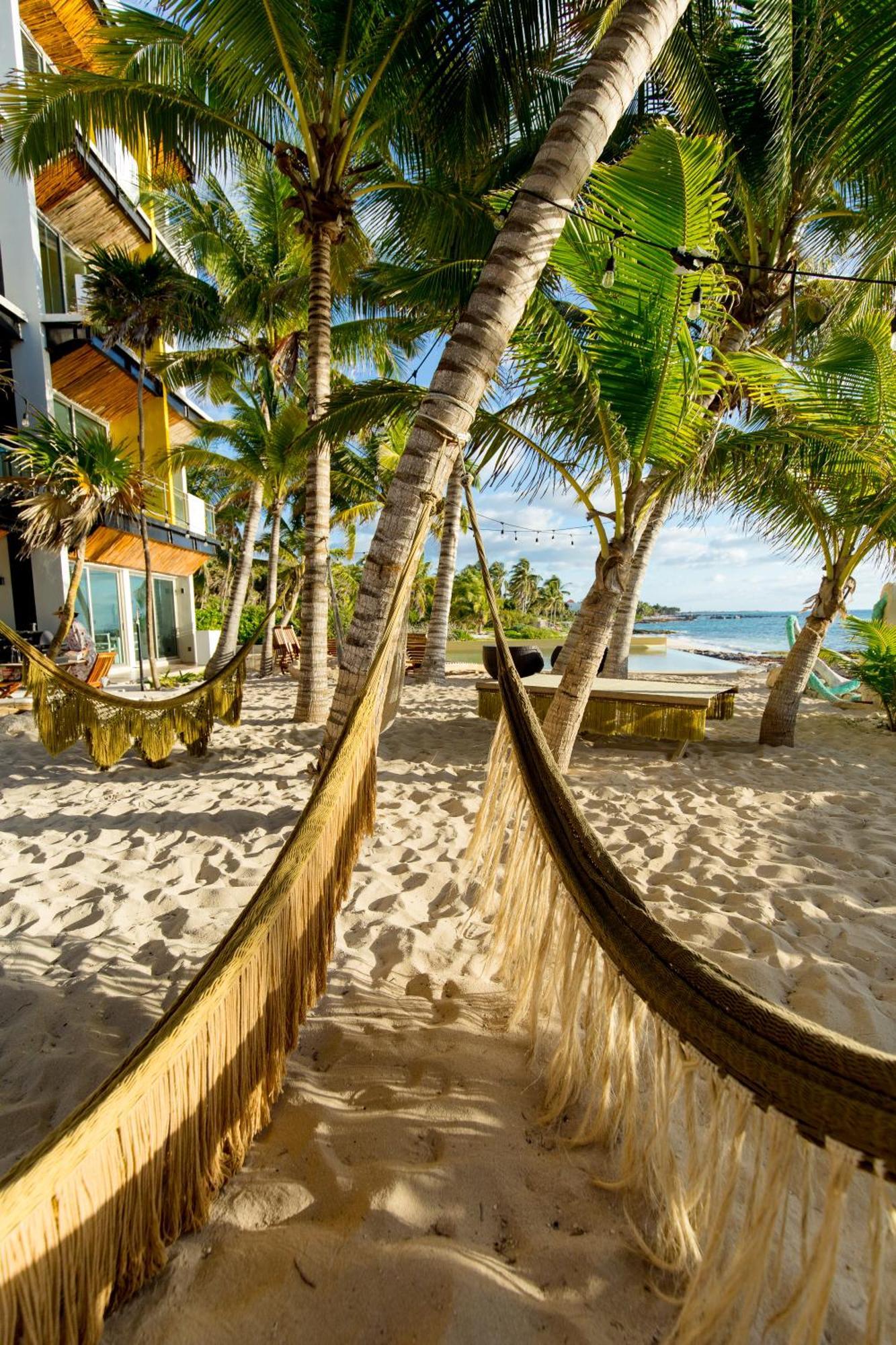 Angelina 28 Beachfront And Family Apartments - Modern And Relaxing Long Stays - 20 Min From Cancun Airport Puerto Morelos Exteriör bild