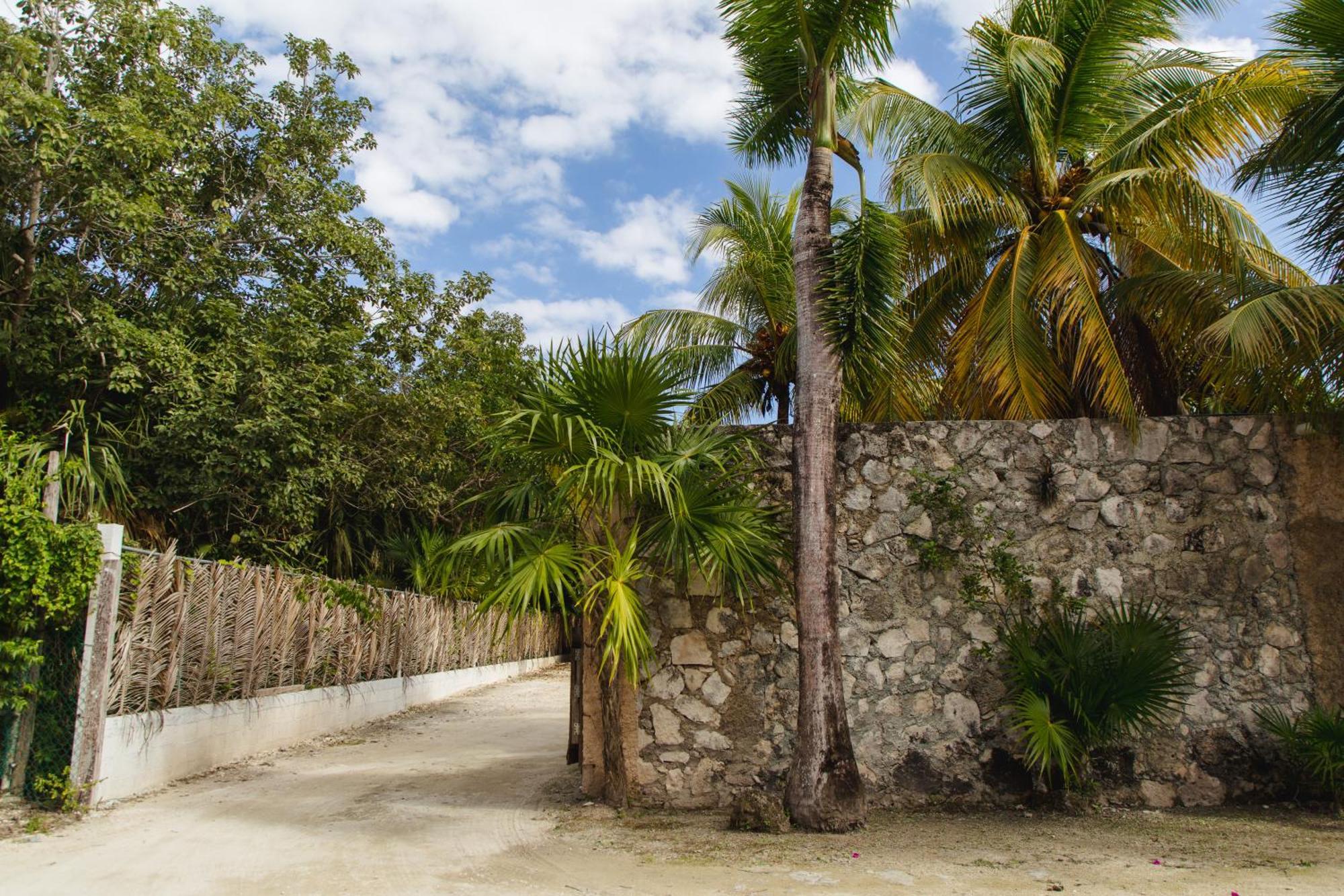 Angelina 28 Beachfront And Family Apartments - Modern And Relaxing Long Stays - 20 Min From Cancun Airport Puerto Morelos Exteriör bild