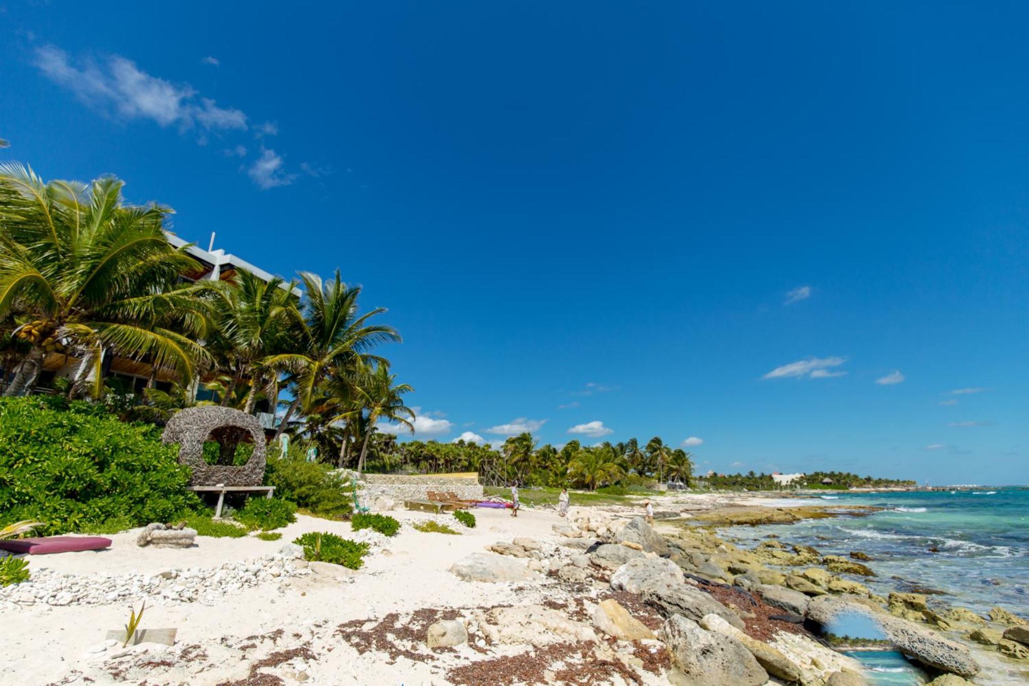 Angelina 28 Beachfront And Family Apartments - Modern And Relaxing Long Stays - 20 Min From Cancun Airport Puerto Morelos Exteriör bild